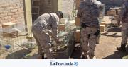 Faena ilegal y riñas de gallos: en 2025, secuestraron más de 100 animales en San Juan