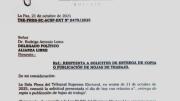 TSE autoriza a Libre acceder a las imágenes de las actas del Sirepre y a las hojas de trabajo solo en los que haya duda