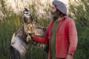 Águila coronada en peligro: novedoso estudio genético de una de las aves más amenazadas del país