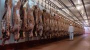 Estados Unidos aseguró que comprará “poca carne argentina”: el motivo
