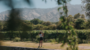 Enoturismo en Córdoba: todos los detalles del turismo del vino por las sierras