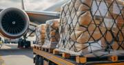 Más competencia para Intercargo: autorizan a una nueva empresa a prestar servicios aeroportuarios y de rampa