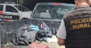 Intentaron huir en una camioneta cuando circulaban con 20 kg de carne de guanaco en una mochila