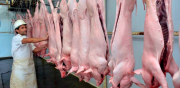 Bolivia tiene como objetivo exportar carne de cerdo y de pollo a China