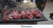 Secuestran una camioneta, motos y carne de guanaco en Albardón
