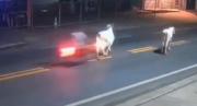 Futbolista brasileño murió tras chocar a toda velocidad contra una vaca, todo quedó grabado