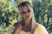 Britney Spears confesó haber sufrido daño cerebral y comparó su trauma con el robo de alas de Maléfica