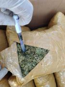FELCN incautó 220 kilos de marihuana