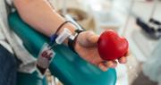 La UNLP impulsa una jornada junto al Incucai para sumar donantes de médula ósea