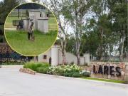 Denunciaron a tres hombres por golpear brutalmente a un carpincho en un country de Canning
