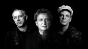 Llega “Call The Police” con Andy Summers