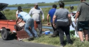Volcó un camión con cerdos en la Ruta 7 y los vecinos saquearon la carga