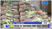Frutas de temporada para Todos Santos llegan al Mercado El Tejar en La Paz