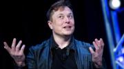 Musk busca acabar con Wikipedia