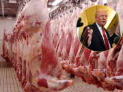 Trump cuadruplica la cuota de importación de carne argentina