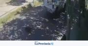 Denuncian a un automovilista que atropelló y mató a una perrita