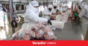 Porqué aun no se podrá exportar ovinos a Estados Unidos