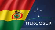 Productores bolivianos tienen mejores condiciones de acceso al Mercosur