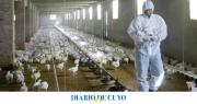 La rápida propagación de la gripe aviar en Europa hace temer una nueva crisis
