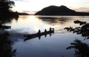 La Amazonía bajo ataque: un informe revela la criminalidad en seis países