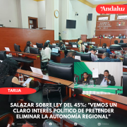 Salazar sobre Ley del 45%: vemos un claro interés político de pretender eliminar la autonomía regional