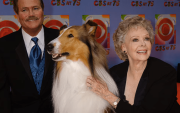 Murió a los 100 años June Lockhart, actriz de ‘Lassie’ y ‘Perdidos en el espacio’