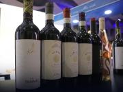 Anuncian la aprobación de la ley que declara a Tarija como capital de la producción del vino en Bolivia