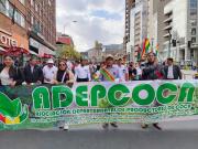 Adepcoca afirma que la hoja de coca de los Yungas cumple con la ley y asegura no tener problemas con la DEA