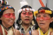 La mitad de 196 grupos indígenas aislados podría desaparecer en diez años: el caso de Venezuela