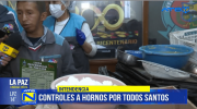 Intendencia de La Paz inspecciona hornos y detecta presencia de vectores en varios establecimientos