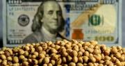 Sube el precio de la soja: cuántos dólares quedan por liquidar y por qué el Gobierno la pone en la mira