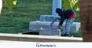 Cayó el hombre que robó cables de los nuevos paneles solares