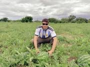 Estamos haciendo historia: un productor concretó la primera exportación de sandías tras la desregulación del mercado