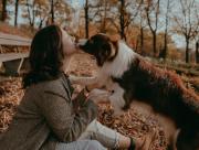 ¿De qué se trata el 'Día de los Muertos de las Mascotas', la costumbre mexicana que es celebrada en todo el mundo?
