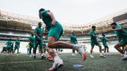 Palmeiras necesita una proeza para llegar a la final de la Copa Libertadores