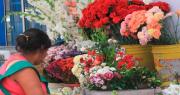 Todos Santos: sube el precio de las flores por la falta de combustible en La Paz, reportan comerciantes