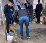 Los Hornos: rescatan 15 perros en deplorables condiciones y detienen a un hombre por maltrato animal