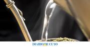 ¿El mate produce acidez?: se cae un mito, según un científico