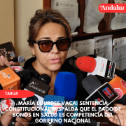 Sentencia constitucional respalda que el pago de bonos en salud es competencia del Gobierno Nacional
