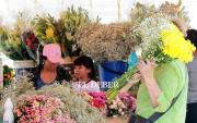 Día de Los Difuntos: Conocé los precios referenciales para la venta de flores