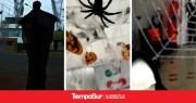 Dulces, disfraces y diversión: llega Halloween a Multimedio Tiempo