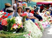Defensa al Consumidor informa que las flores por todos santos subirán de precio de forma moderada en Tarija