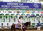 Breeders’ Cup 2025 aquí encontrarás el programa completo