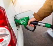 Bioetanol: los sectores del maíz y de la caña apoyan el nuevo proyecto de ley