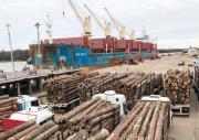 Se incrementó la exportación de los productos maderables