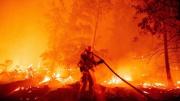 La temporada mundial de incendios aumentó 40 días debido al cambio climático