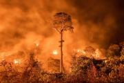 Incendios en el Amazonas provocan emisiones record CO2