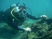 Descubren importante naufragio europeo del siglo XVII en Venezuela