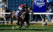 Cy Fair vuela en la Breeders Cup Juvenile Turf Spring G1