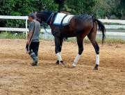 Ahora quién ganará: Retiro de fijo cambia el panorama del ciclo no válido en La Rinconada